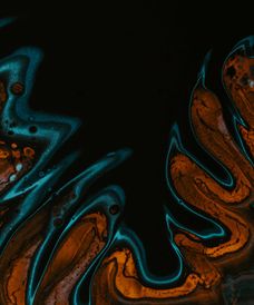 page-layout-gallery-8-bYuY3uU_H_g-unsplash